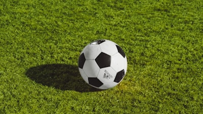 XC体育官方APP展示界面 - 现代科技感设计，绿色主题